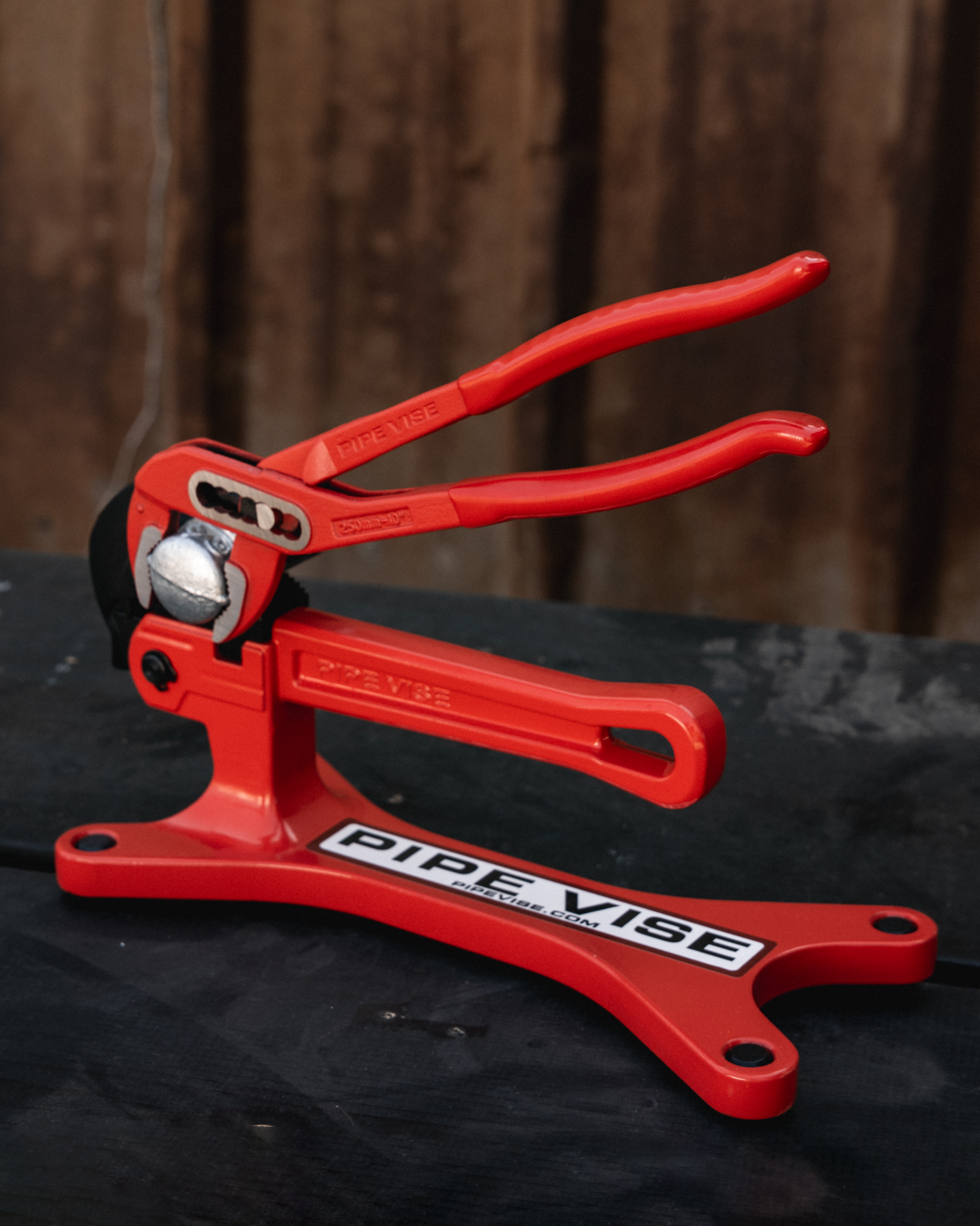 10" Slim Jaw Pliers (WPP10)